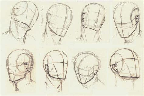 head drawing reference  sketches  artists