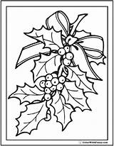 Holly Coloring Christmas Pages Drawing Berries Leaf Color Printable Colorwithfuzzy Sheets Berry Print Sheet Book Ornaments Holiday Getdrawings Xmas Flower sketch template
