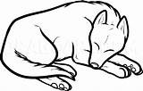 Sleeping Dragoart Sleepy Wolf sketch template