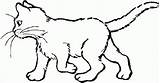 Colorat Pisici Pisica Planse Pui Sfatulmamicilor sketch template