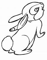 Conejos Colorat Conejo Iepurasi Desene Infantiles Planse Iepure Konijn Dieren Kleurplaten Fise Tekening Coelho Rabbit Iepuras Conejitos Tiernos Kaninchen Iepurele sketch template