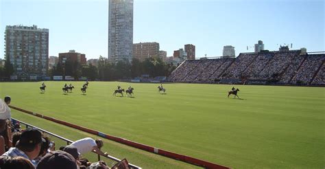 argentine polo open championship  buenos aires travel guide