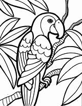 Parakeet Coloring Pages Getcolorings Color sketch template