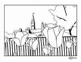 Tulip Ottawa sketch template