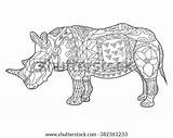 Zentangle Rhinoceros Adult sketch template
