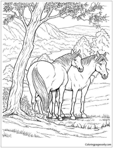 wild horse coloring page  printable coloring pages