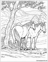 Wild Horse Pages Coloring Color Printable Print Coloringpagesonly sketch template