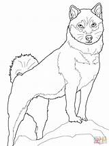 Coloring Shiba Inu Pages Dogs Akita Dog Super Color Printable Supercoloring Drawing Van Book Kunst Print Line Animal Adult Silhouettes sketch template