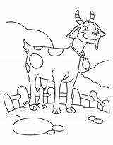 Goat Goats Farming Colorluna Azcoloring sketch template