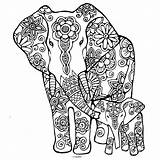 Elefantes Elefante Adolescentes Habitualmente Orientados Hacia Coloreen Pinten sketch template