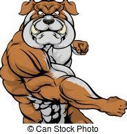 tough bulldog    cartoon bulldog canstock   bulldog bulldog pics cartoon