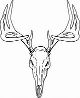 Deer Skull Drawing Clip Coloring Pages Mount Head Buck European Clipart Printable Mule Svg Vector Reindeer Transparent Coloring4free Tracks Drawings sketch template