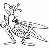 Grasshopper Coloring Pages Preschool Kids Printable Color Insects Getdrawings Getcolorings sketch template