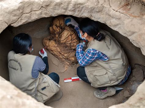 unveiling  unbelievable  year  mummies unearthed  archaeologists  peru video