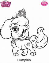 Pets Coloring Princess Pages Palace Pumpkin Fun Kids sketch template