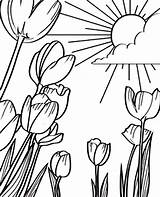Coloring Sunshine Field Tulips Pages Beautiful Tulip Flower Colouring Flowers Color Kids Adult Book Printable Getcolorings Print sketch template