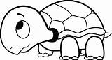 Turtle Coloring Pages Detailed Getdrawings Baby sketch template