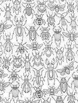 Coloring Insect sketch template
