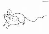 Maus Ausmalbilder Ausmalen Mäuse Malvorlage sketch template