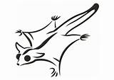 Glider Mammals Squirrel Nocturnal Silhouette Gliders sketch template