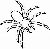 Spiders Netart Bestcoloringpagesforkids Via sketch template