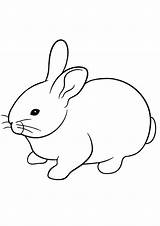 Sheets Rabbit Gaddynippercrayons Indiaparenting sketch template