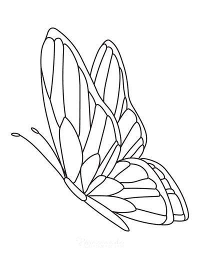 butterfly coloring pages  kids adults butterfly art drawing