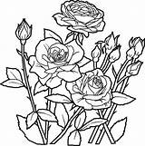 Bouquet Getcolorings Colo sketch template