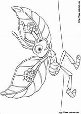 Bugs Bichos Inseto Flik Disegni Colorat Krabbeln Insecto Ausmalbilder Temu Dawno Trawie Colouring Kolorowanki P19 Asas Suas Raupe Malvorlagen Chucrute sketch template