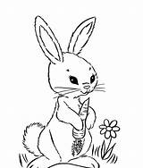 Coloring Pages Rabbits Baby Popular Kids Rabbit sketch template