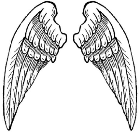 wings coloring pages google search hobbies pinterest coloring