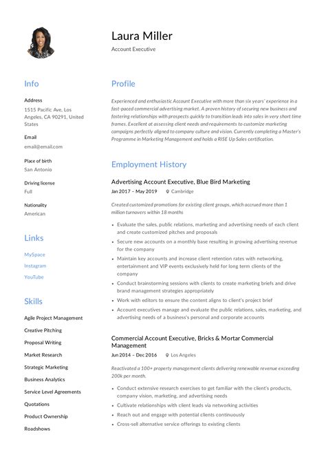 account executive resume writing guide  templates