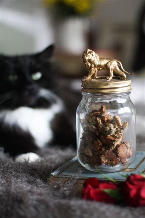 Homemade Cat Treats With Tuna And Catnip Diy Jar For Cat