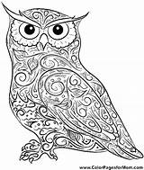 Coloring Owl Pages Owls Print Adult Adults Mandala Baby Printable Difficult Animals Horned Cute Flying Drawing Color Great Screech Colouring sketch template