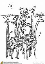 Hugolescargot Famille Girafes sketch template