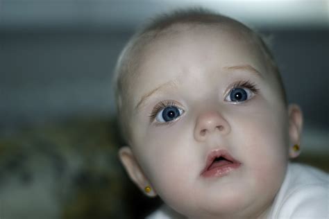 free photo adorable girl beautiful cute newborn portrait max pixel