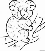 Koala Gets Dente Clipartkey sketch template