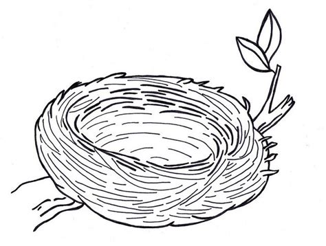 images  bird nest printable bird nest coloring page