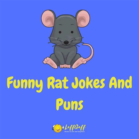 20 Hilarious Badger Jokes And Puns Laffgaff
