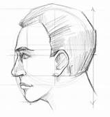 Face Side Draw Drawing Step Sketch Proportions Pro Loomis Hair Facial Shade Summing Approach Andrew sketch template