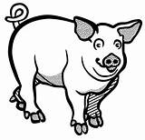 Schwein Babi Lineart Cerdo Vektor Boar Varken Hog Kartun Putih Burglar Openclipart Silhouette Schweine Cochon Coloring Clipartmag Sketch Agu Geometrical sketch template