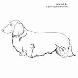 Dachshund Coloring Dog Pages Line Color Longhaired Drawing Dogs Draw Own Drawings Puppy Puppies Easy sketch template
