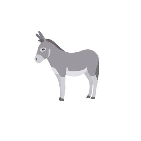donkey ears illustrations royalty  vector graphics clip art istock