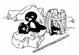 Pingu Kleurplaten Pinga Ausmalbild Malvorlage Pingouin Hibou Mademoiselle Stemmen Stimmen sketch template
