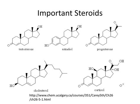 Ppt Chapter 5 Macromolecules Lipids Powerpoint Presentation Free