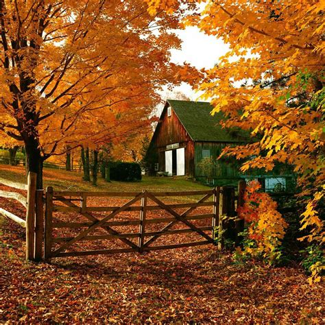pin  tonya wilson  autumn autumn scenery beautiful fall scenery