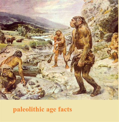 paleolithic age facts india  days