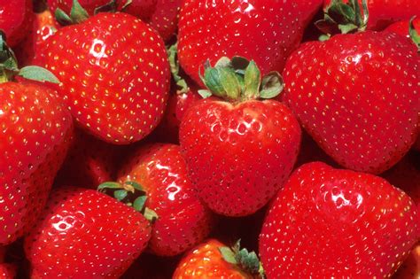 close  view  strawberries  stock photo public domain pictures