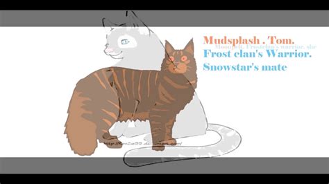 My Fan Made Warrior Cats Clan Frost Clan Youtube