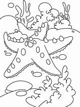 Coloring Reef Starfish Pages Coral Color Fish Kids Printable Drawing Easy Print Animal Sea Great Getdrawings Shells Preschool Getcolorings Choose sketch template